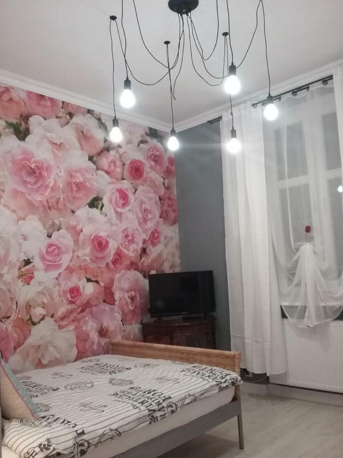 Vintage - Rose Apartament Stary Toruń Exteriör bild